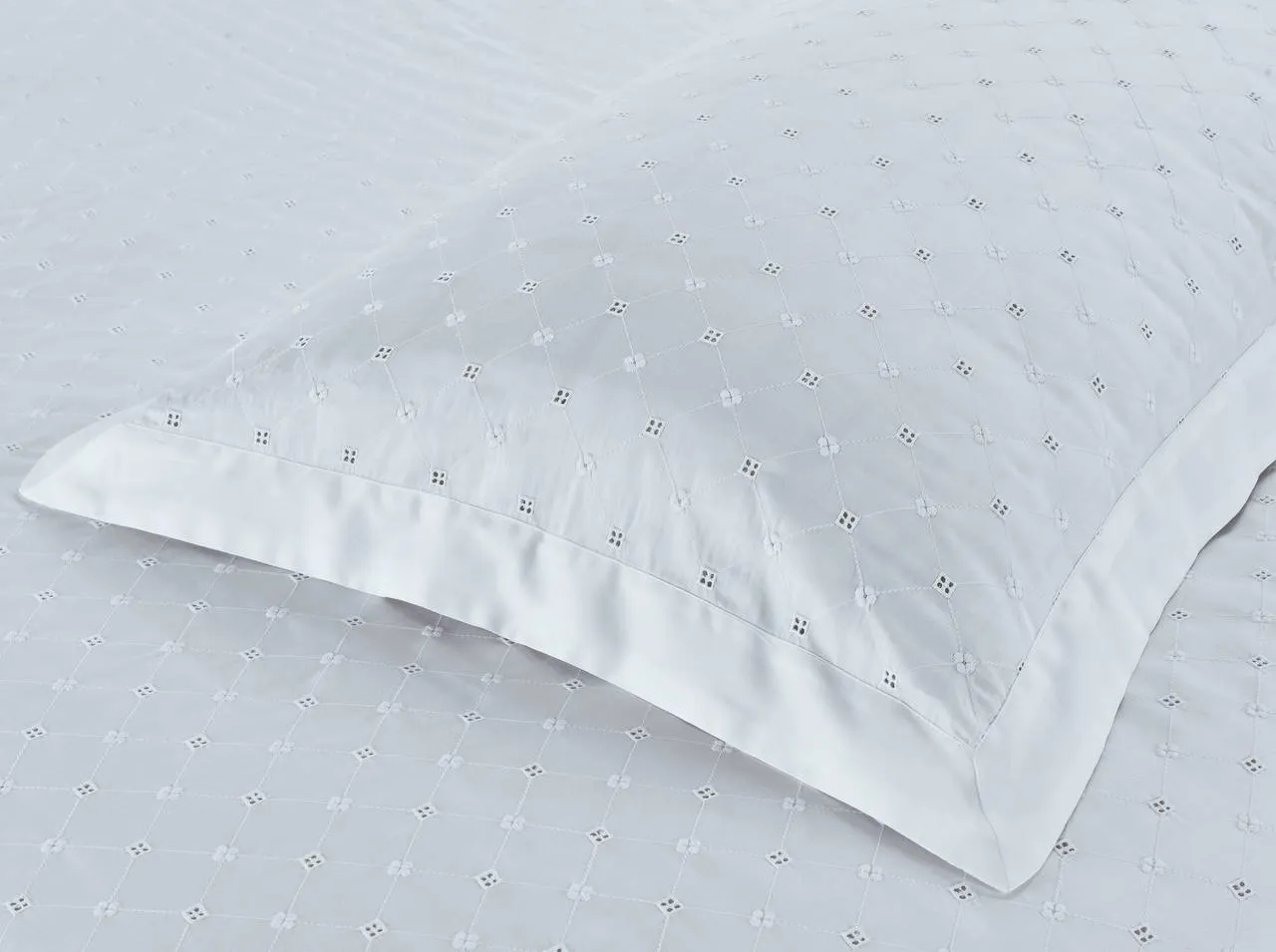 ״מונקו״ צפיפות 300 tc